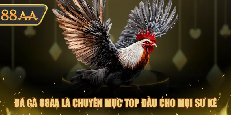 Đá Gà 88AA là chuyên mục top đầu cho mọi sư kê